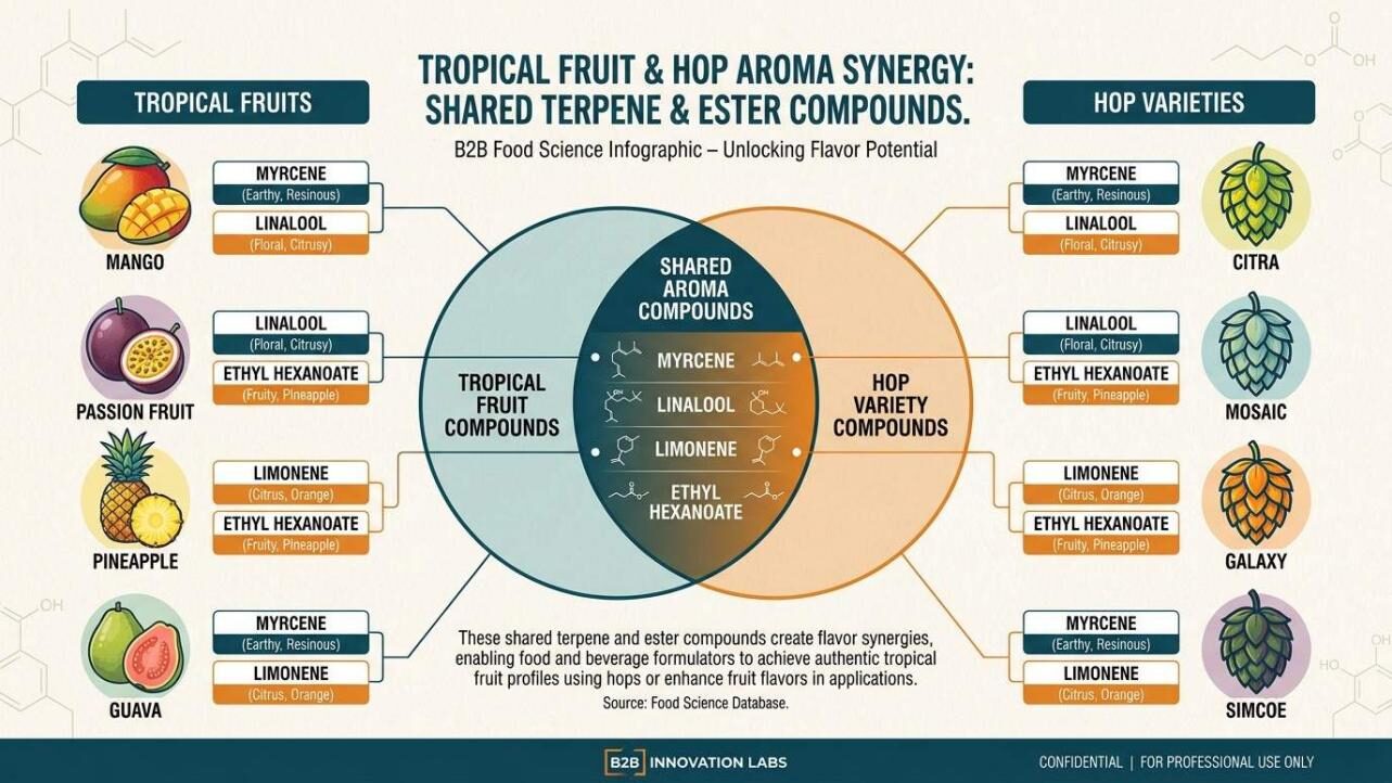 A scientific infographic Venn diagram showing the shared aroma compounds between tropical fruits (mango, passion fruit, pineapple, guava) and hop varieties (Citra, Mosaic, Galaxy, Simcoe) — illustrating the molecular basis for tropical fruit-hop pairing in craft beer brewing.